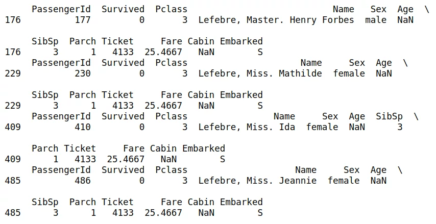 Найденные строки с данными пассажиров по фамилии Lefebre